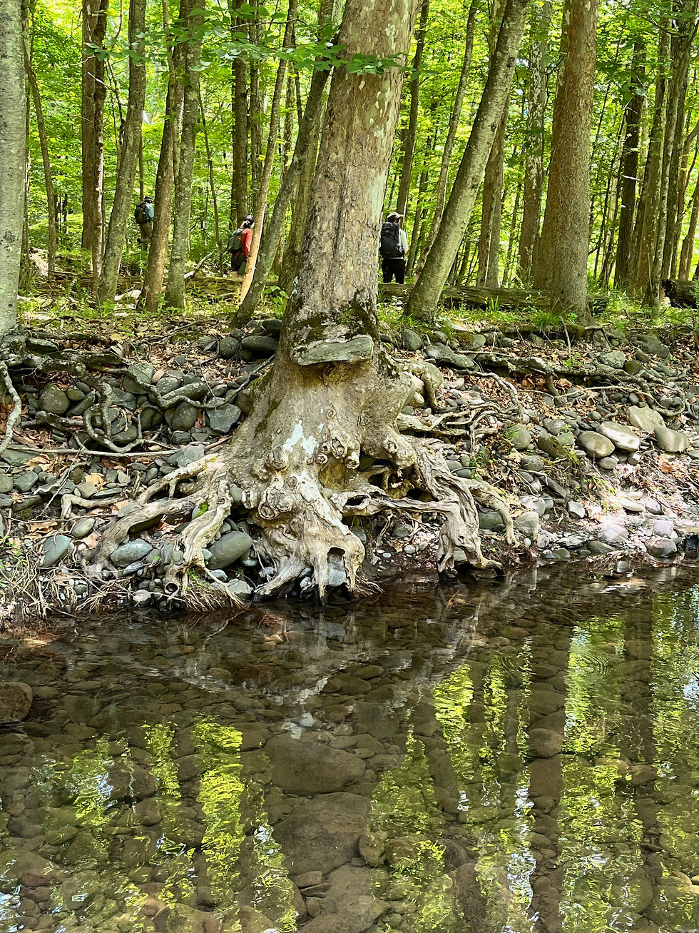 Mapping The Sawkill Walking Tour #2 | Explore Little Deep to Big Deep