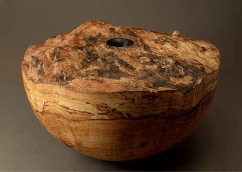 Derrick A. Te Paske - ANTHROPOCENE.jpg