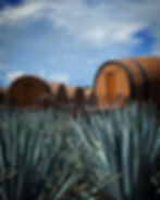 Matices Hotel de Barricas.jpg