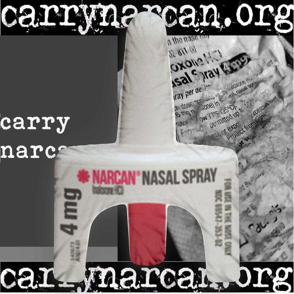 narcan dispenser shaped pillow.