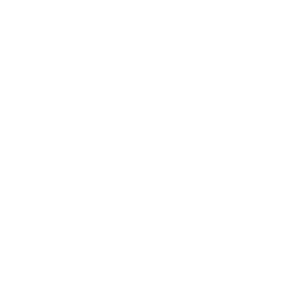 00_SFF-Full-logo_Loop-(10sec)-Static-2.g