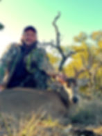 Whitetail Deer 16