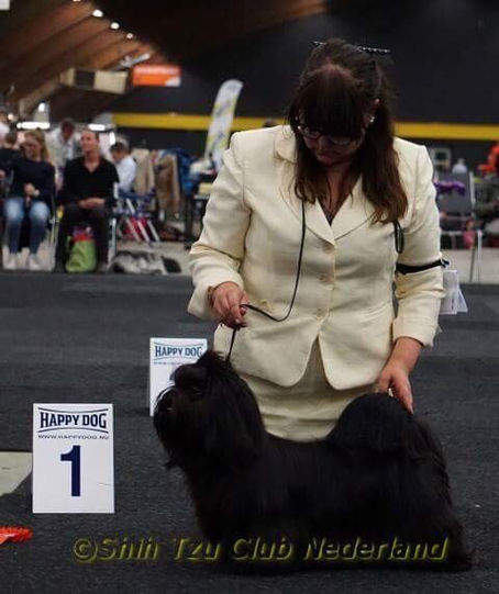 INT show in Netherlands
