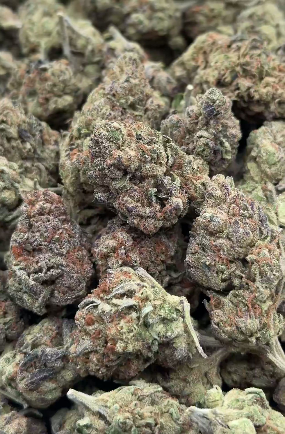 Thumbnail: French Gelato