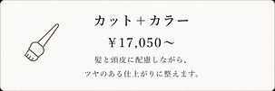 カットカラー.png