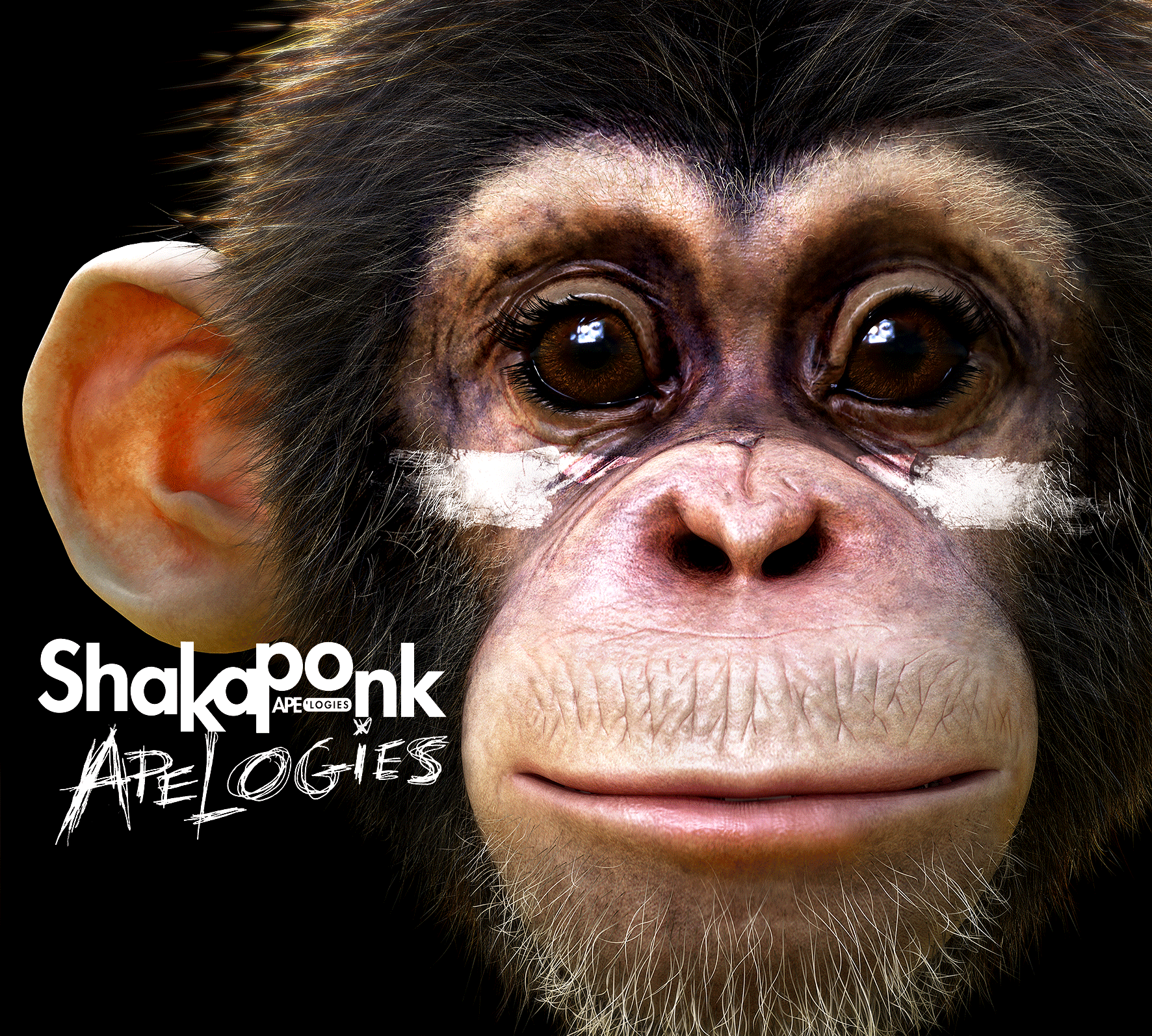 GIF_SHAKA_PONK.gif