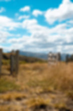 an open wooden gate overlooking the rolling hills of a potential investment opportunity