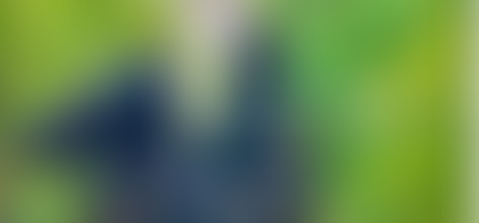 A Journey through Hallowed Ground: A Gettysburg Battlefield Review