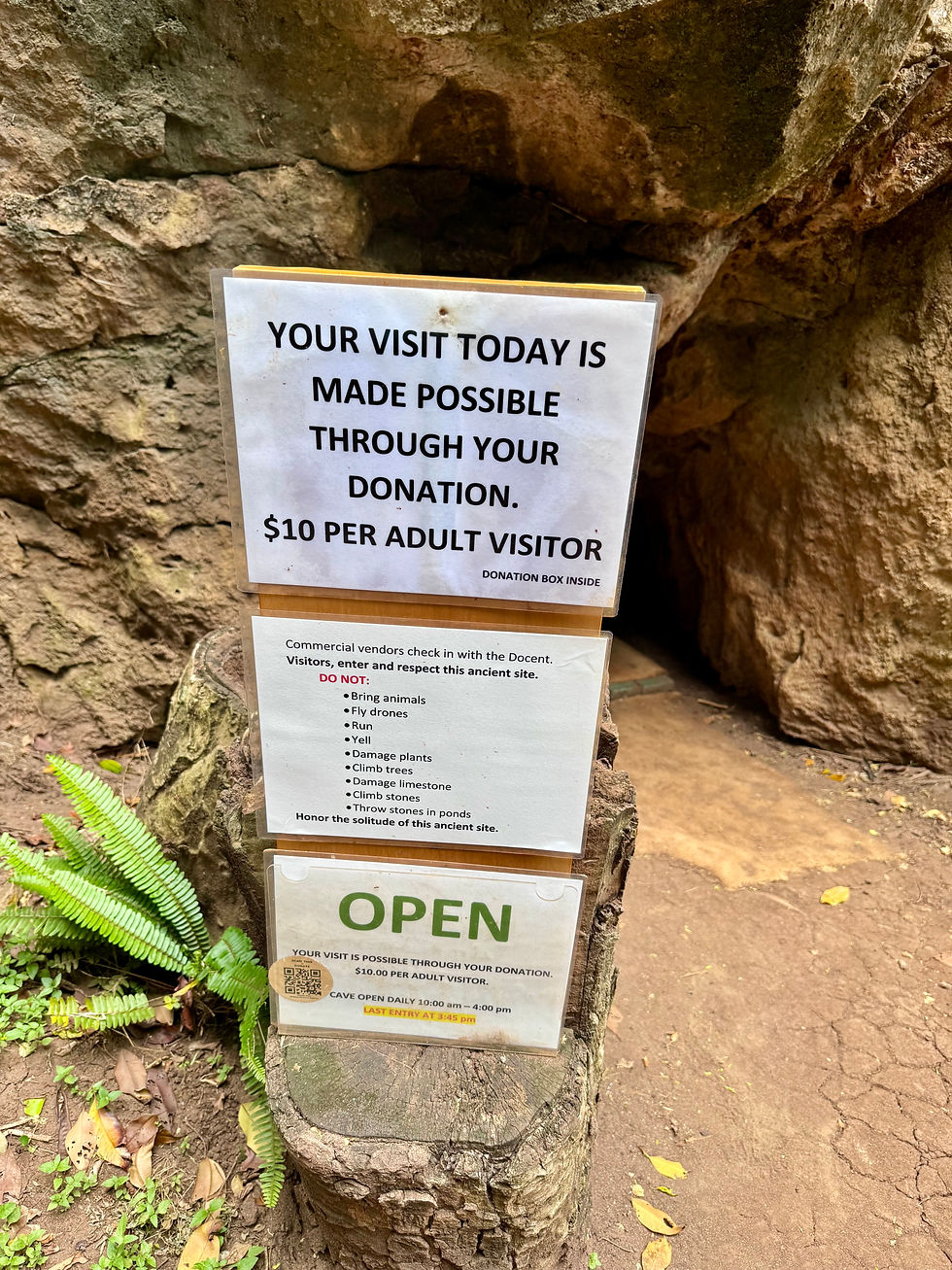 Entrance to Makauwahi Cave