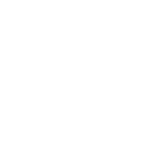 ring.gif