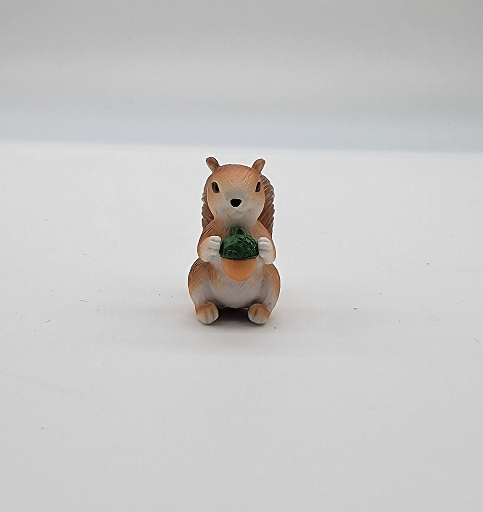 Thumbnail: Squirrels