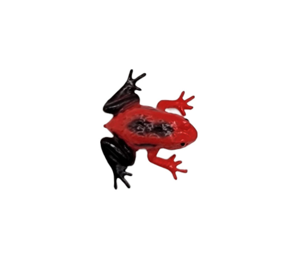 Thumbnail: Exoctic Frogs