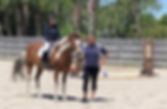 Horse Lessons In Jupiter FL