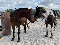 Caspian and Darwin