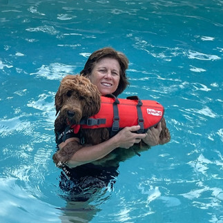 Goldendoodle - BFF Goldendoodles - Palm Beach