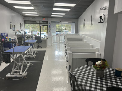 Lori's Pet Palace Celebrates Their Grand Opening At Waverly Plaza