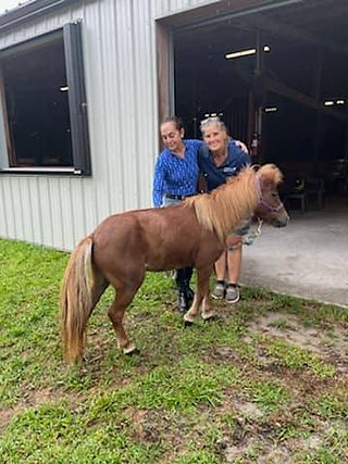 Horse Rescue and Rehab - Riverbend Equestrian Center - Jupiter, FL