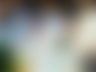 Hidden Energy Costs - Slattery Energy - NY