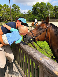 Horse Boarding Jupiter FL