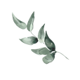 25.png