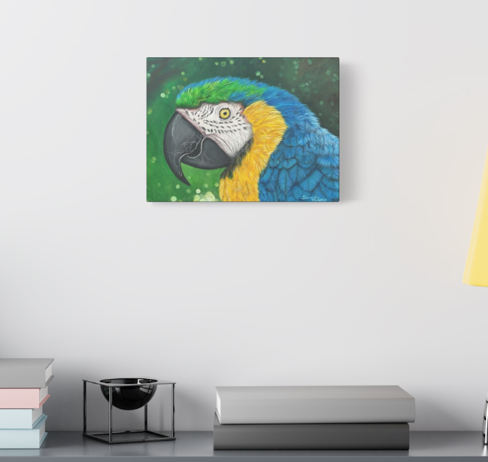 Thumbnail: Zuzu the Macaw