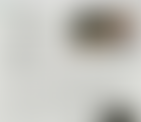 Love Sarah preps for Cannes