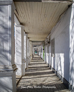 Jane Craig Walker_ White Walkway.jpg