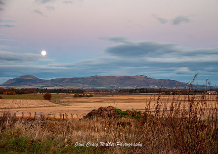 Jane Craig Walker_Full Moon .jpg