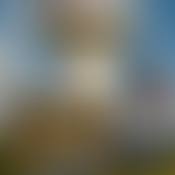 PLUMBING ESSENTIALS FOR PLANO, TX HOMEOWNERS: WHAT YOU REALLY NEED TO KNOW