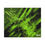 Thumbnail: Green Neon Abstract Canvas Print — Modern Splatter Wall Art