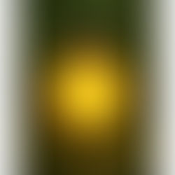 Au cœur de l'oignon...rien à réparer.