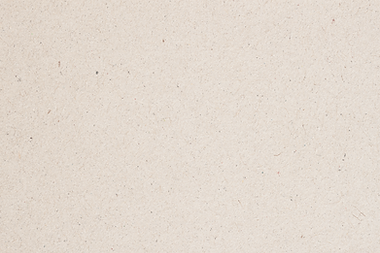 Paper Texture_edited.png