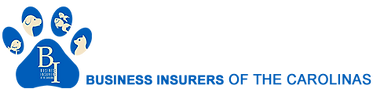 BusinessInsurersofCarolinasLogo