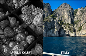 Screenshot 2025-06-12 at 9.50.16 AM.png