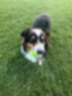 WhatsApp Image 2025-10-29 at 18.32.17.jpeg