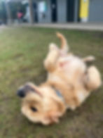 WhatsApp Image 2025-10-29 at 18.33.13.jpeg