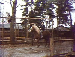 Kirtimų Idilės (1991)