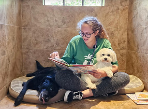 Lush Staff Reading with Dogs in Boarding Suite_edited.jpg