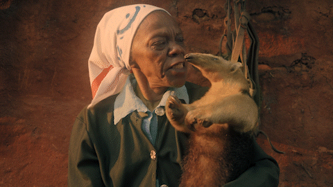 A Redenção de Cam