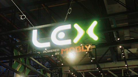 LEX - BGS 24