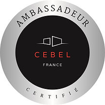 installateur revendeur portail alu cebel