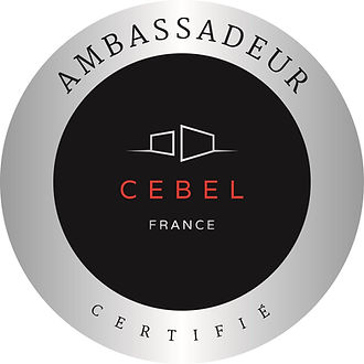 installateur revendeur portail alu cebel