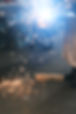 DSCF2136.JPG