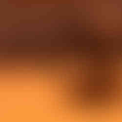 A black rhinoceros at a waterhole in Etosha at dusk, reflected in the water