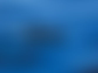 Spot Bottlenose Dolphins, Basking Sharks and Barrel Jellyfish in Cornwall