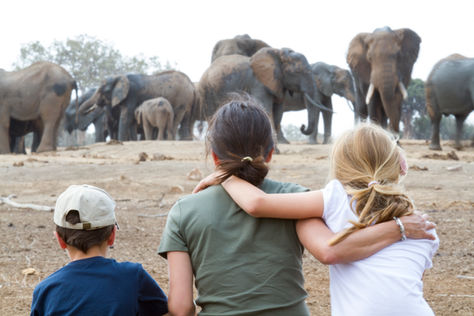Best Places in Kenya for Family Holidays