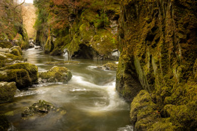 River flowing through moss-covered rocks