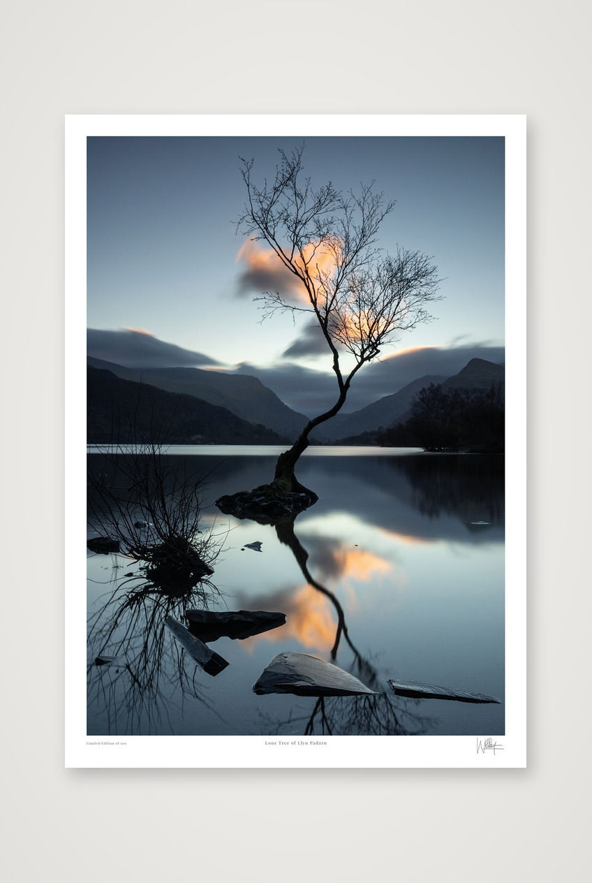 Thumbnail: Limited edition fine art landscape print of the Lone Tree of Llyn Padarn at dawn in Snowdonia by Will Gray