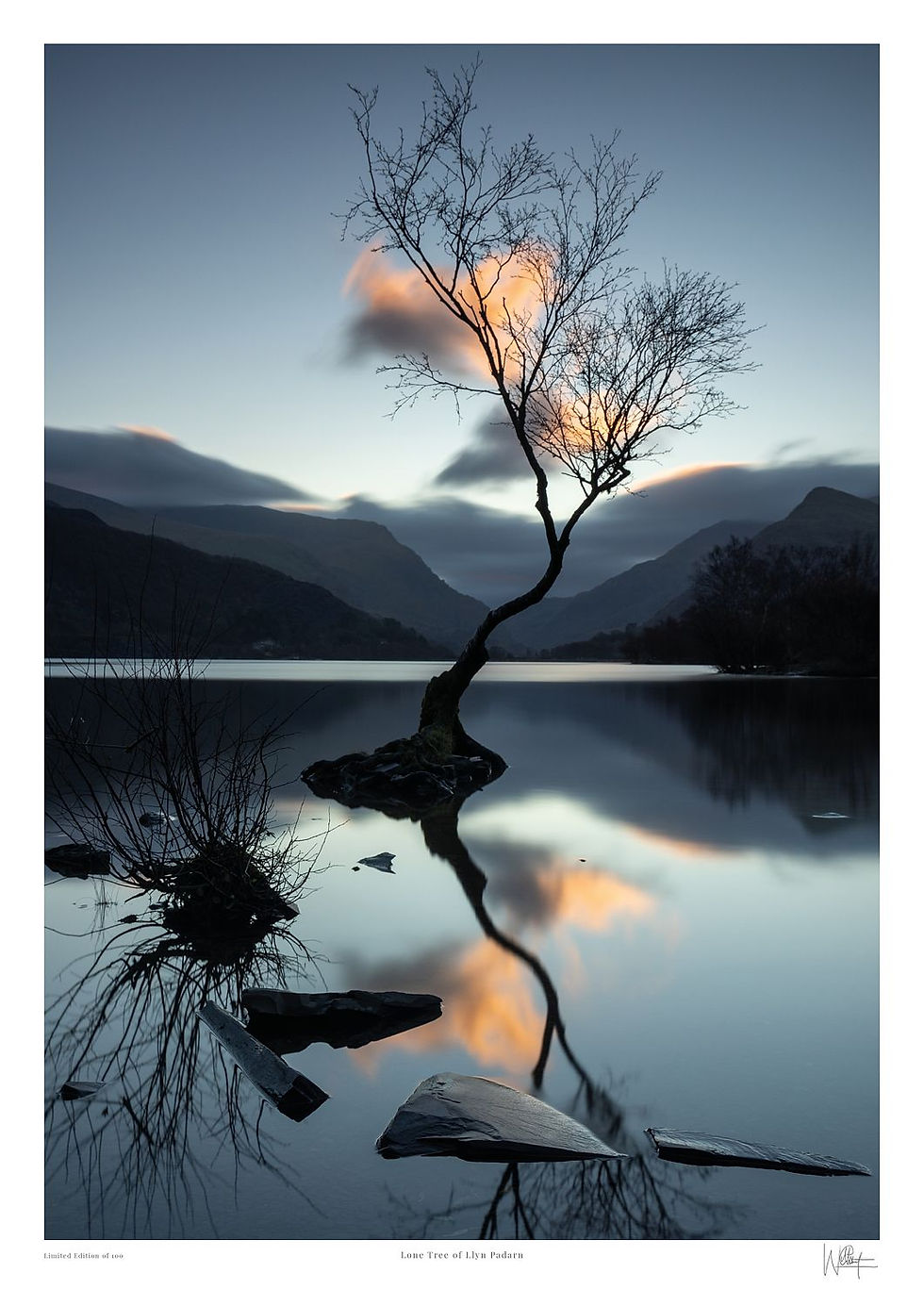 Limited edition fine art landscape print of the Lone Tree of Llyn Padarn at dawn in Snowdonia by Will Gray