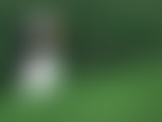 Witness a Seabird Spectacle on the Islands of Pembrokeshire